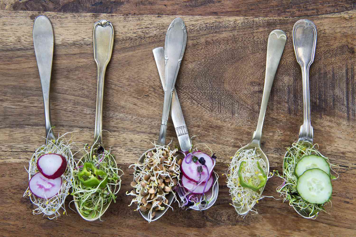 sprouts on spoons