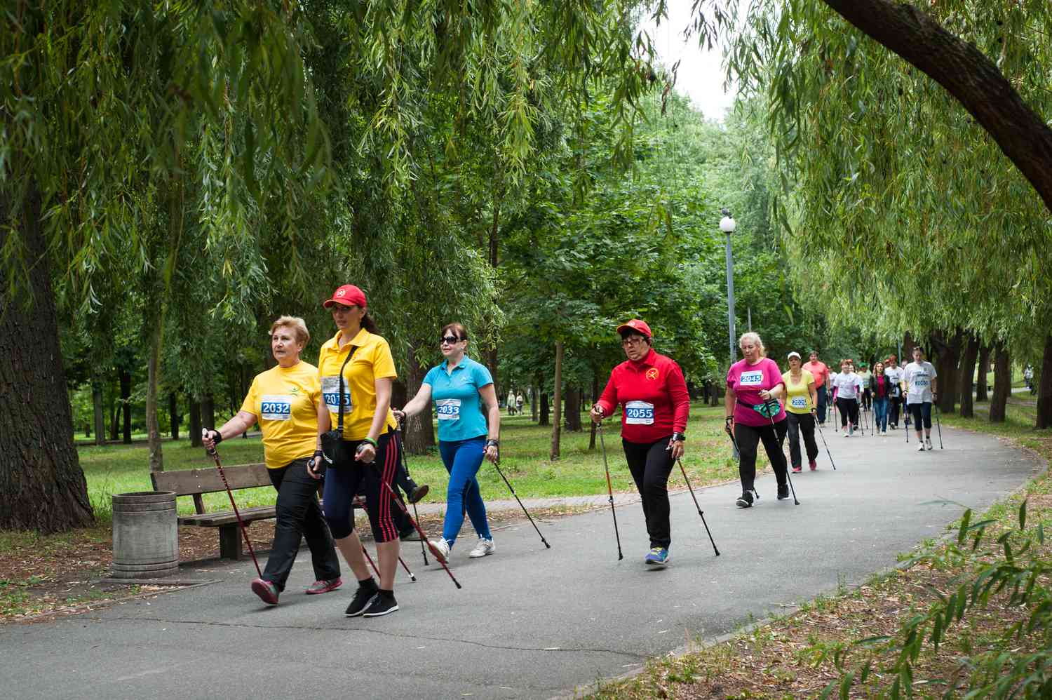 Walkers during a marathon in a park