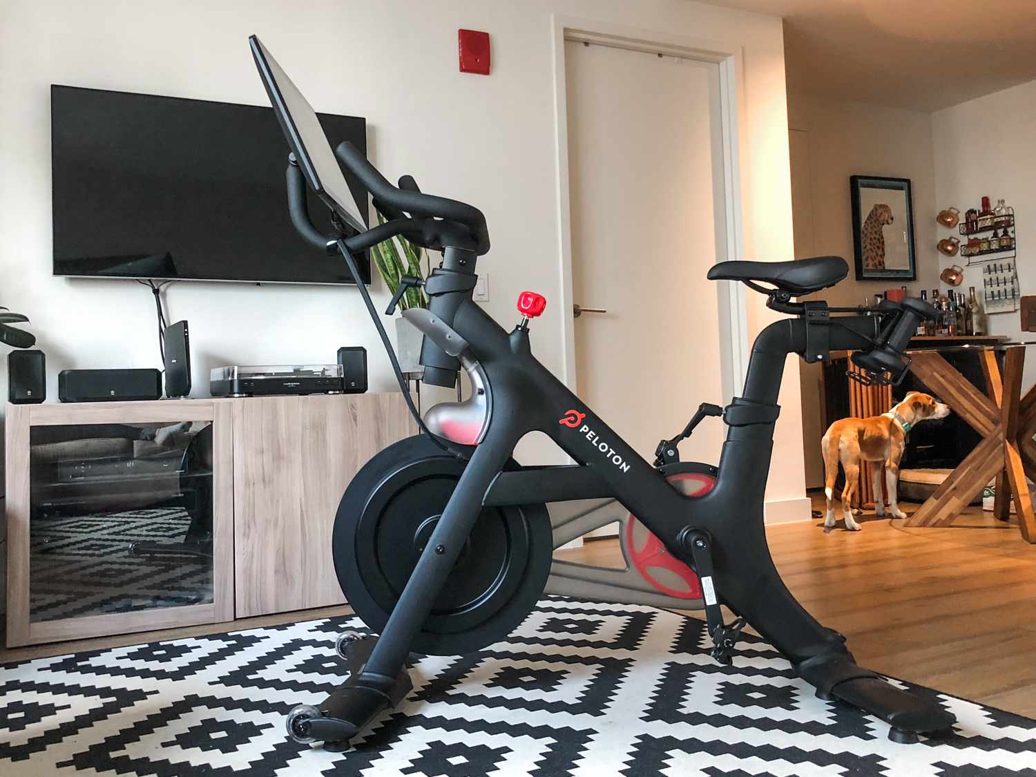 A Peloton bike set up on a rug in front of a living room TV