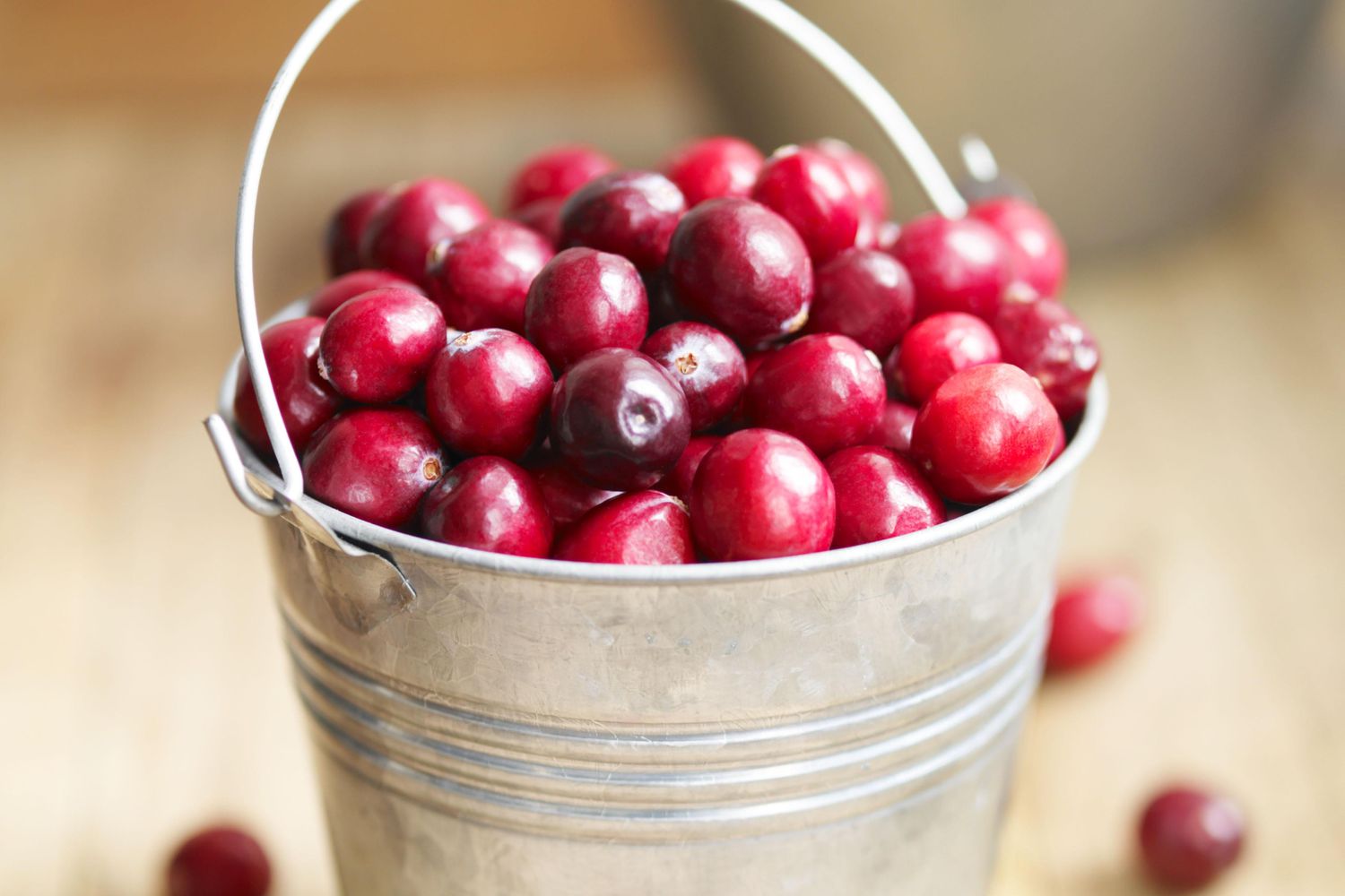 Fresh Cranberries in Pail