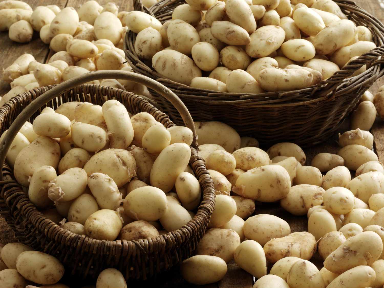 Baskets full of white potatoes